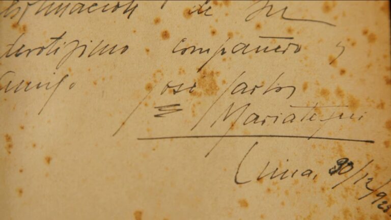 Minerva. Elogio a la Máquina, 2017